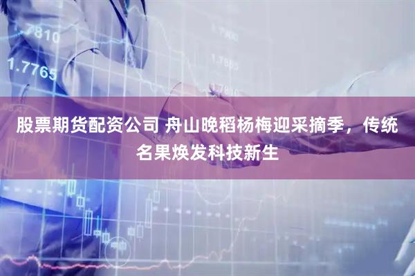 股票期货配资公司 舟山晚稻杨梅迎采摘季，传统名果焕发科技新生